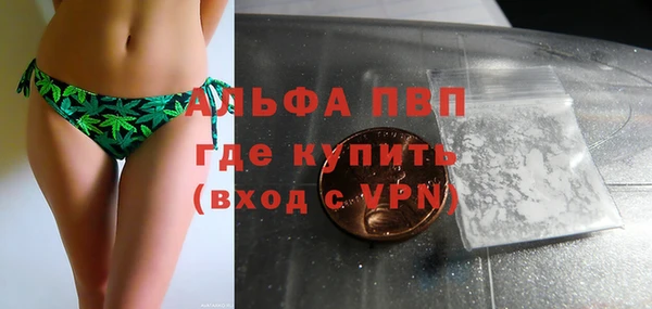 стаф Осинники
