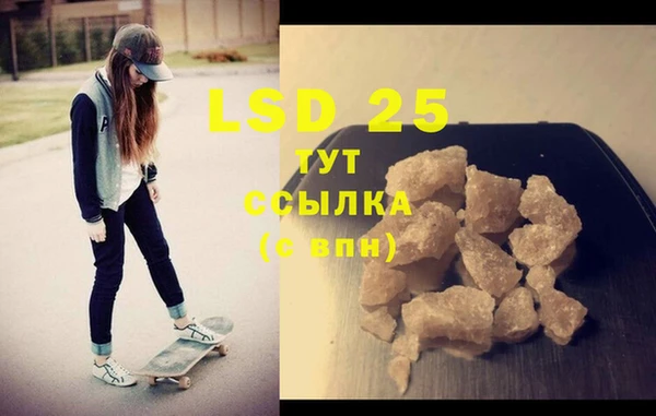 стаф Осинники
