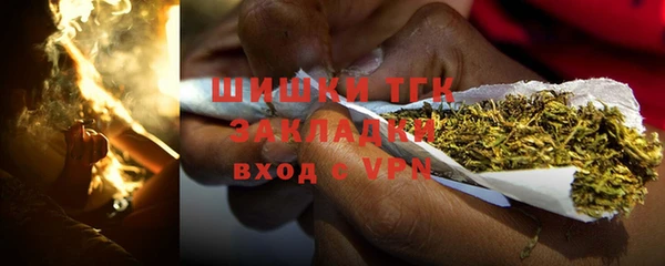 стаф Осинники