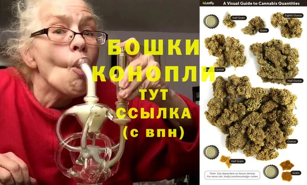 стаф Осинники