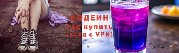стаф Осинники