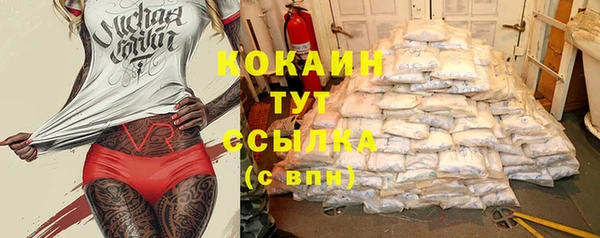 стаф Осинники
