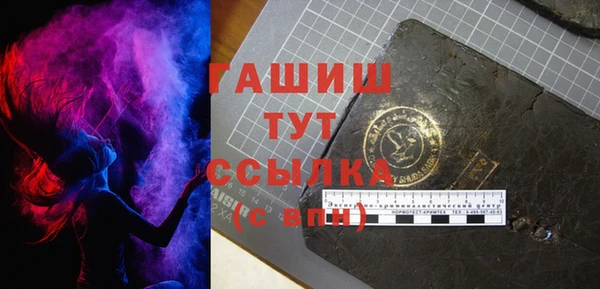 стаф Осинники