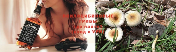 стаф Осинники