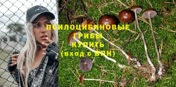 экстази Осташков